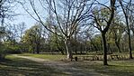 IMG_20260401_100736