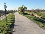 IMG_2939