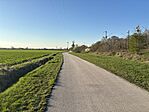 IMG_2941
