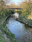 IMG_2943
