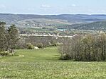 IMG_2973