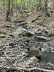 IMG_3032