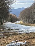 IMG_2986
