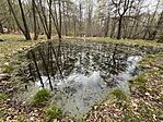 IMG_3018