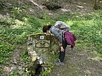 IMG_3121