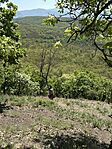 IMG_3128