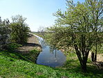 DSC00925