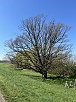 IMG_5722