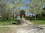 DSC00913