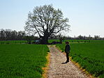 DSC00918