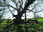DSC00921