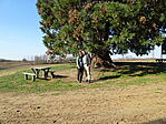 DSC00932
