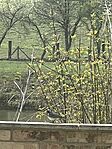 IMG_5765