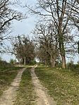 IMG_5798