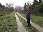 DSC01003