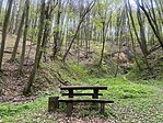 IMG_5782