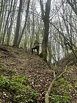 IMG_5783