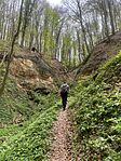 IMG_5785