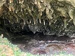 IMG_5788