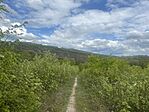 IMG_5815