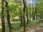 IMG_5820
