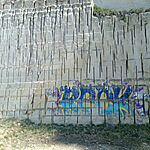 IMG_20260404_105229_599