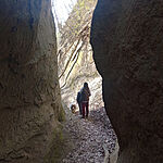IMG_20260404_094233_032