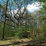 IMG_20260418_142312_215