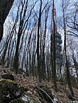 IMG_5181