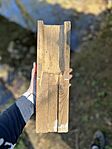 IMG_1079