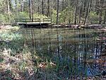 IMG_20260404_132912