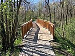 IMG_4386(1)