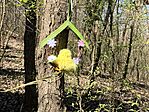 IMG_4390(1)