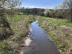 IMG_4391(1)