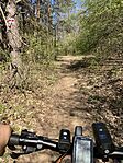 IMG_4393(1)