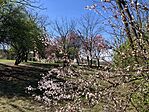 IMG_4394(1)