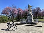 IMG_4397