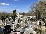 IMG_4400(1)