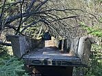 IMG_4533