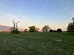 IMG_4416