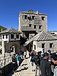 IMG_4600