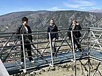 IMG_4631