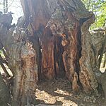 IMG_20260425_134905
