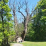 IMG_20260425_135347