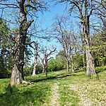 IMG_20260425_140603