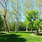 IMG_20260427_143133