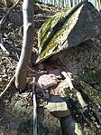 IMG_20260409_101300