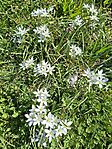 -6