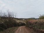 IMG_20260414_104114