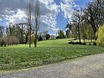 IMG_4381